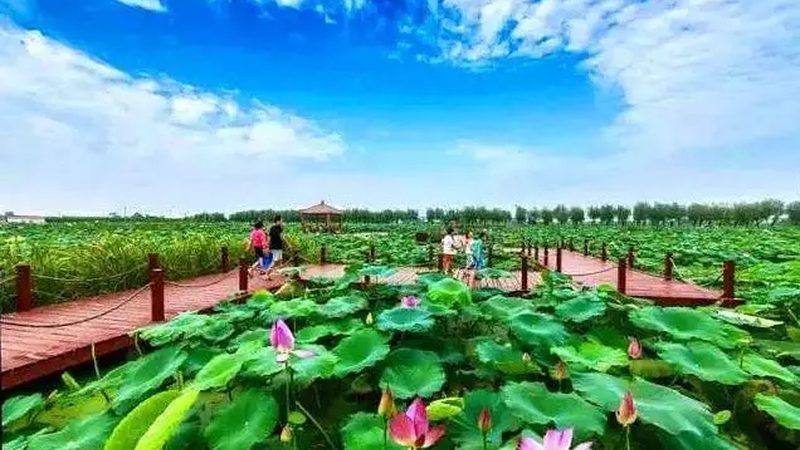 生鲜B2B配送平台入驻流程解析
