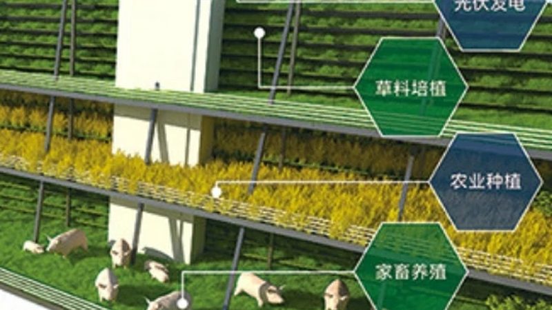 农业合作社加盟分红模式：揭秘合作共赢的奥秘**