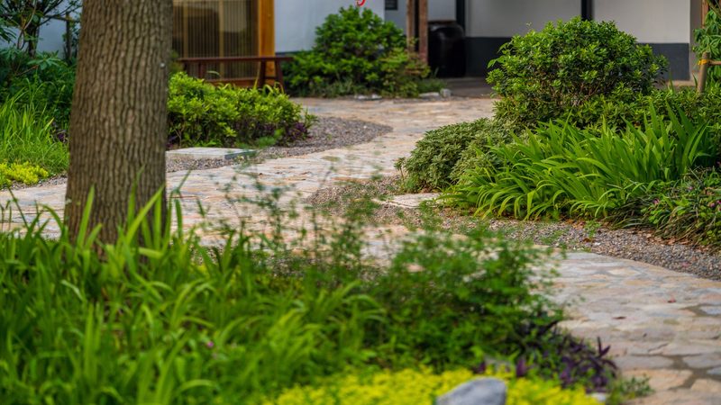 粮食种植技术培训报名全攻略：从入门到精通