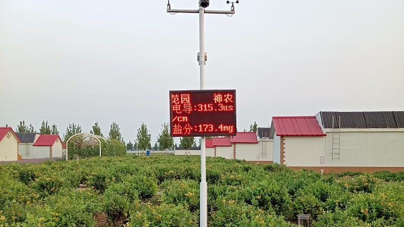 新疆水果适宜气候分析：揭秘新疆水果的气候密码