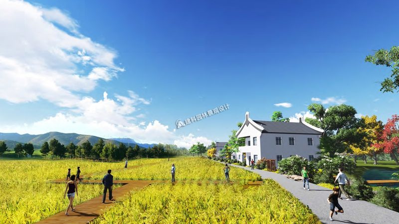 山东粮食种植保险，如何选得明智？**