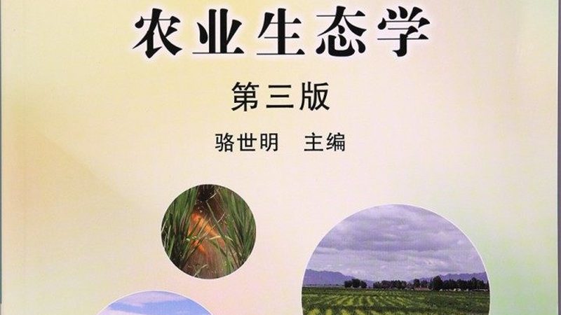 进口农产品批发清关流程全解析