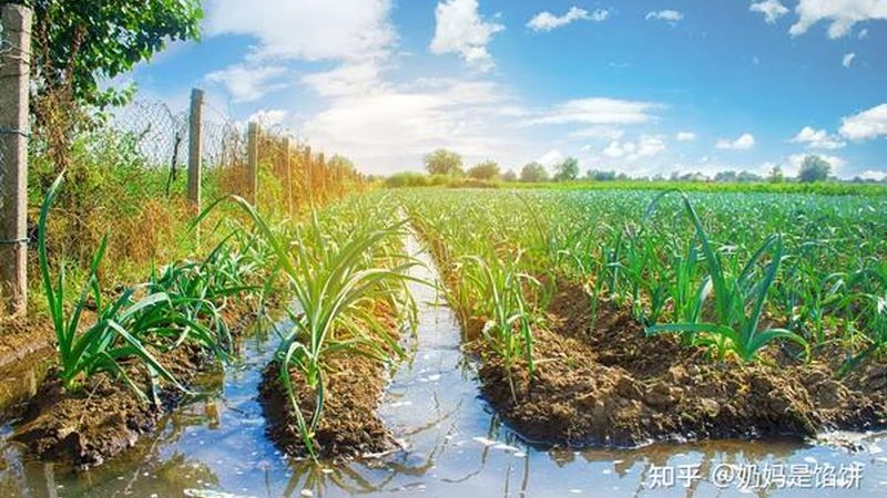 果蔬配送资质办理时间：从申请到拿证要多久