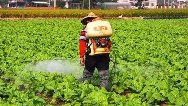 设施农业温室大棚：如何评估公司排名与选择合适方案
